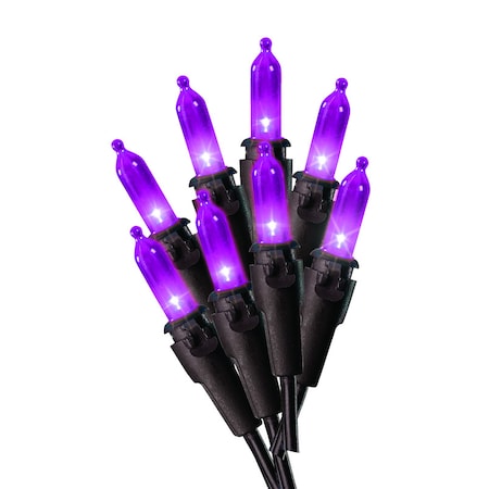 Celebrations Hallown Mini Lights Prpl 34761-71